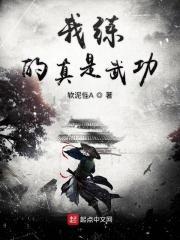 我练的真是武功免费观看