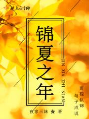 锦年之恋