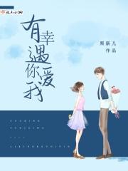 歌词有幸遇见你