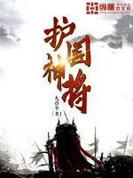 护国神将于北辰