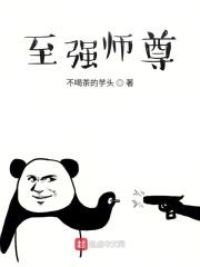 至强师尊免费阅读