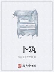 卜筑 第17章