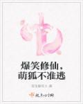 爆笑修仙萌狐不准逃作者是谁