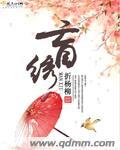 盲绣江山免费阅读
