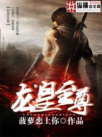 龙皇我是至尊