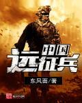 中国远征军兵源