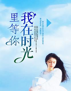 我在时光里等你歌词含义