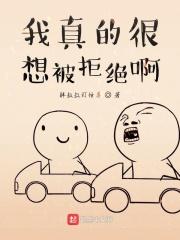 我想拒绝的 可是钱实在太多了