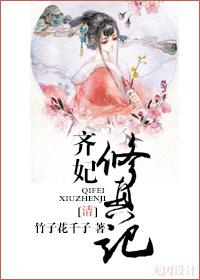 齐妃穿越