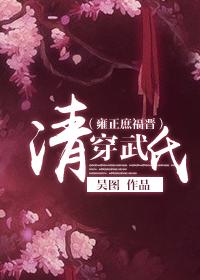 雍正女主穿越福晋