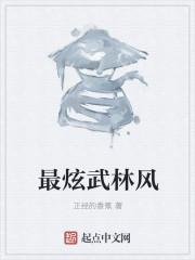 武林风演出