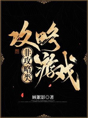 攻略类型的游戏