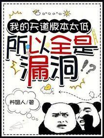 所以全是漏洞无防盗全文免费阅读