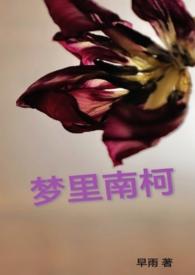 南柯梦歌词什么意思