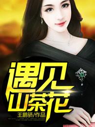 遇见山茶花第一季