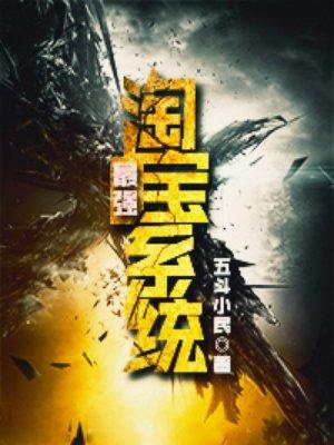 最强淘宝系统全文阅读