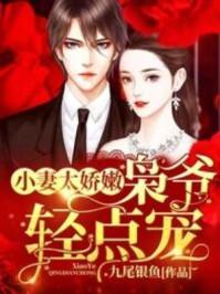 小妻太娇嫩枭爷轻点宠书评