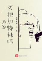 道友买把加特林吗精校版