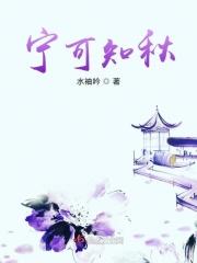 宁可什么意思?