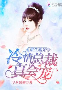 重生暖婚冷面总裁缠上隐