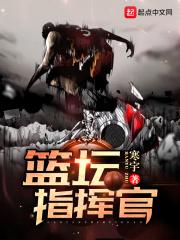篮坛指挥官奇书网