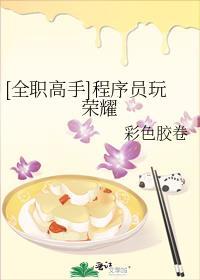 全职高手荣耀黑客联盟