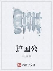 护国公府陈平安