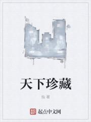 天下珍藏顶点