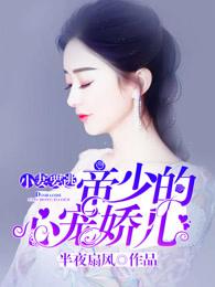 小妻撩人帝少来势汹汹