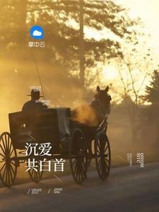 职场风云电视剧